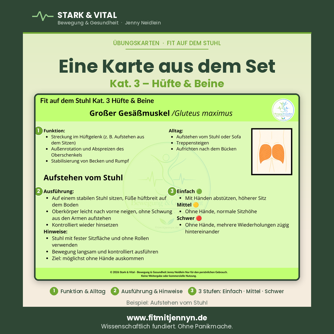 Fit auf dem Stuhl: Komplett-Set mit 45 Übungen für den ganzen Körper