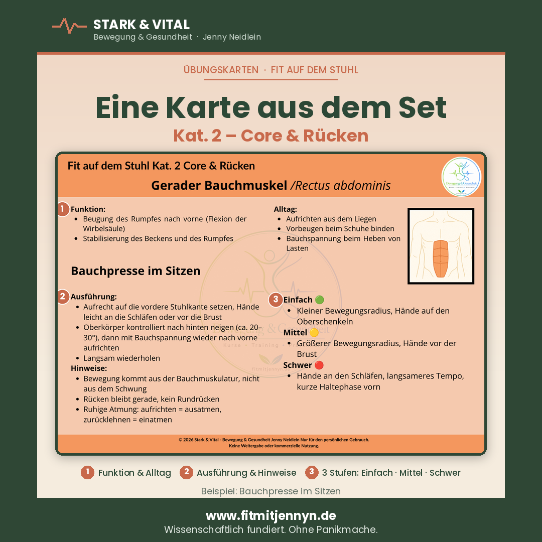 Fit auf dem Stuhl: Komplett-Set mit 45 Übungen für den ganzen Körper